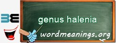 WordMeaning blackboard for genus halenia